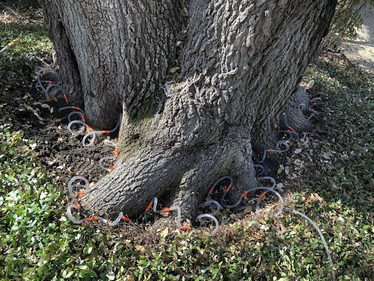 Detailed Shrub and Hedge Trimming job site in Goetzville